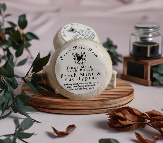 Goat milk bath bomb